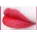 Grosir tanpa label Multi-warna matte lipgloss DOM / OEM